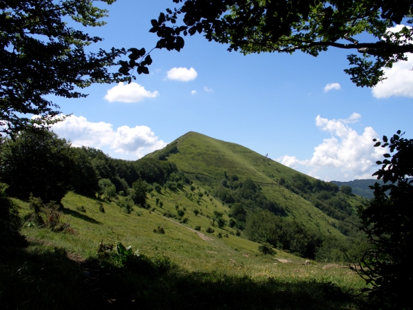 IL MONTE CARMO.jpg